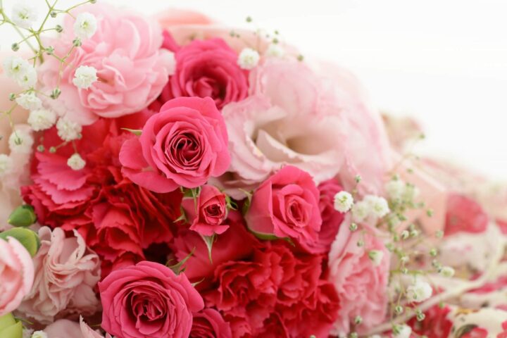 40代主婦の最後のダイエット｜耳ツボで太もも痩せを目指すの画像